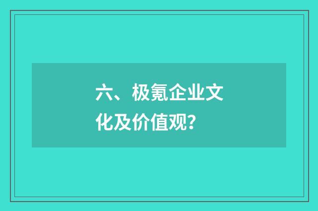 六、极氪企业文化及价值观？