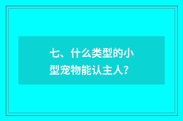 七、什么类型的小型宠物能认主人？