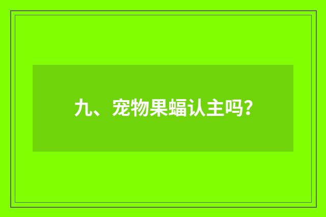 九、宠物果蝠认主吗？