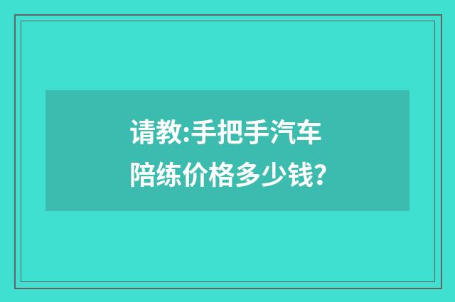 请教:手把手汽车陪练价格多少钱?