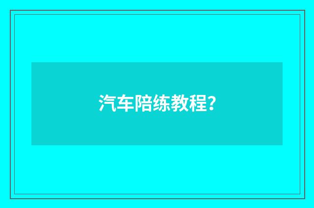 汽车陪练教程？