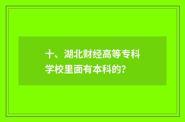 十、湖北财经高等专科学校里面有本科的？