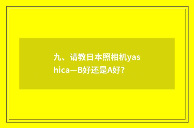 九、请教日本照相机yashica—B好还是A好？