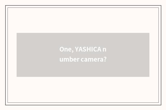 One, YASHICA number camera?