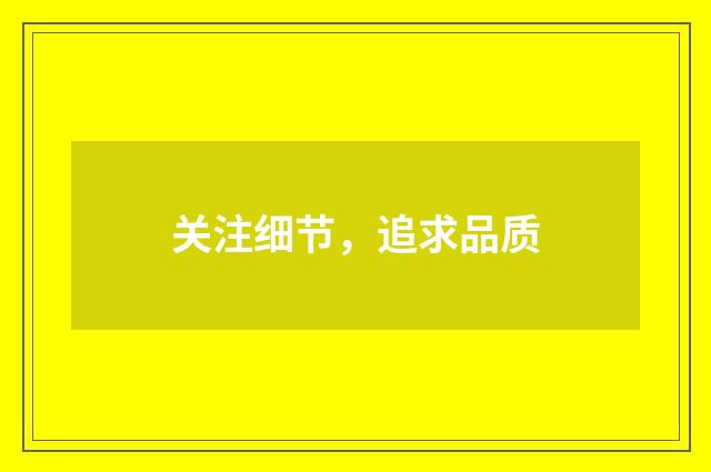 关注细节，追求品质