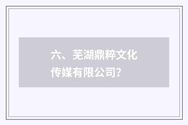 六、芜湖鼎粹文化传媒有限公司？