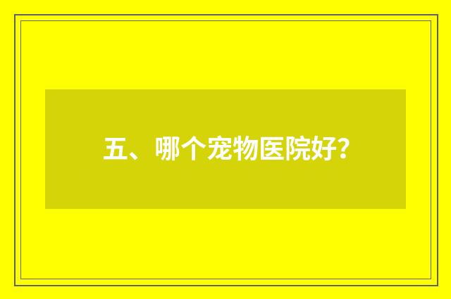 五、哪个宠物医院好？