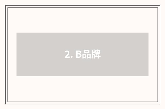 2. B品牌
