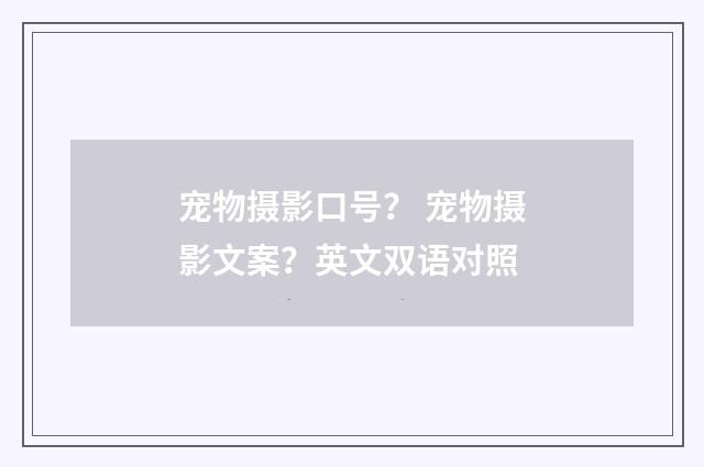 宠物摄影口号？ 宠物摄影文案？英文双语对照