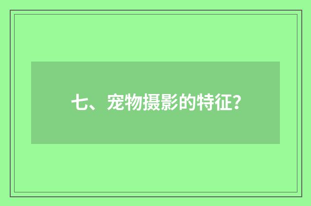七、宠物摄影的特征？