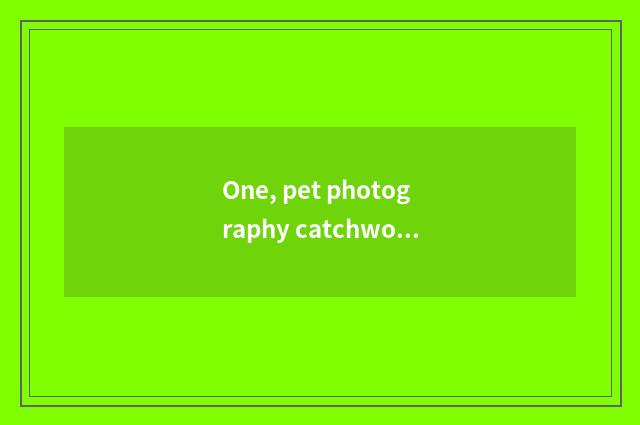 One, pet photography catchword?