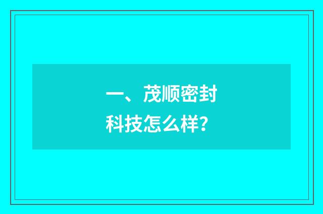 一、茂顺密封科技怎么样？