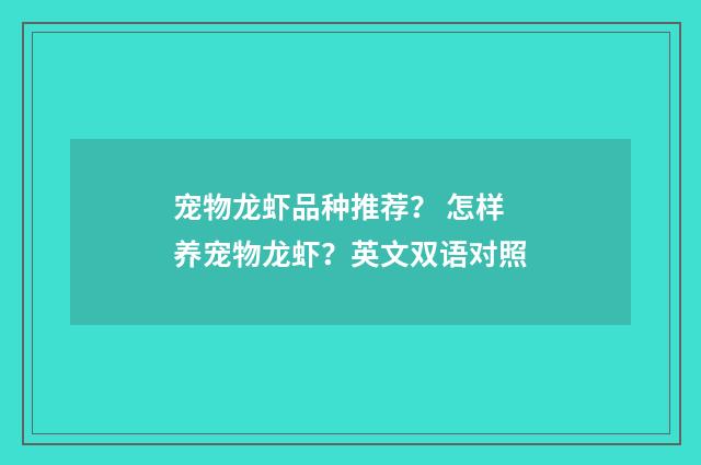 宠物龙虾品种推荐？ 怎样养宠物龙虾？英文双语对照