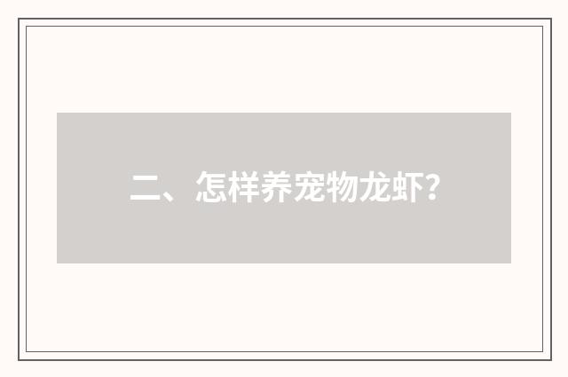二、怎样养宠物龙虾？