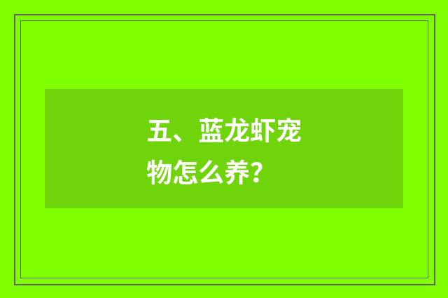 五、蓝龙虾宠物怎么养?