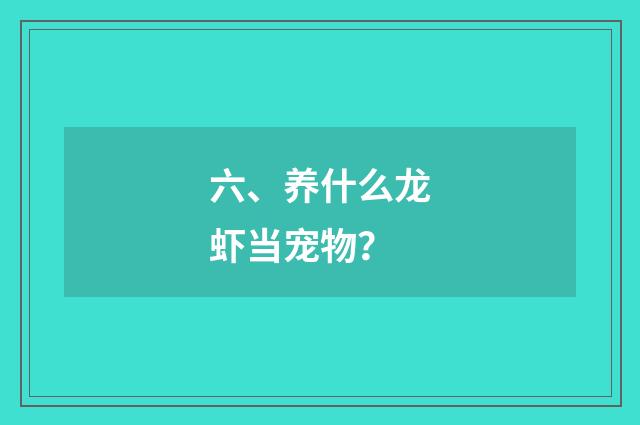 六、养什么龙虾当宠物？