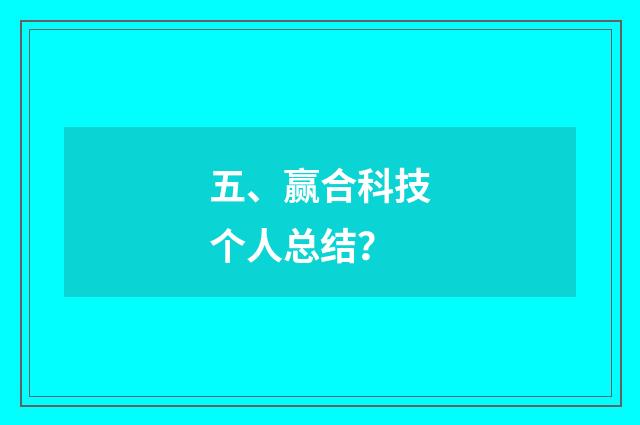 五、赢合科技个人总结？