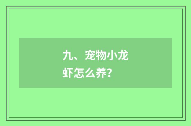 九、宠物小龙虾怎么养？