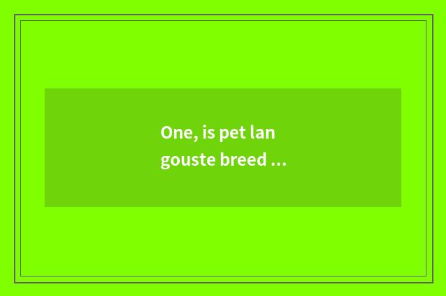 One, is pet langouste breed recommended?