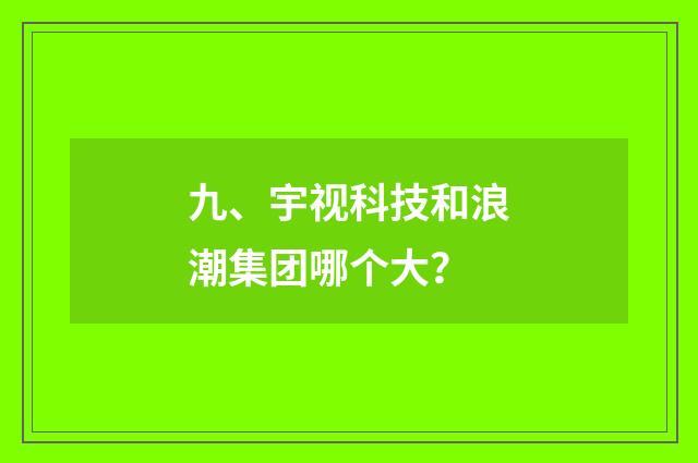 九、宇视科技和浪潮集团哪个大？