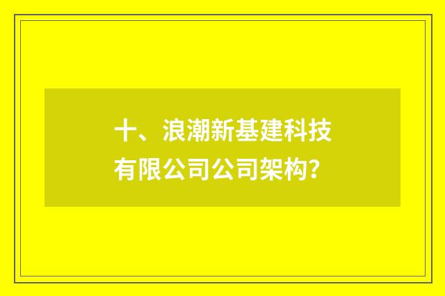 十、浪潮新基建科技有限公司公司架构？