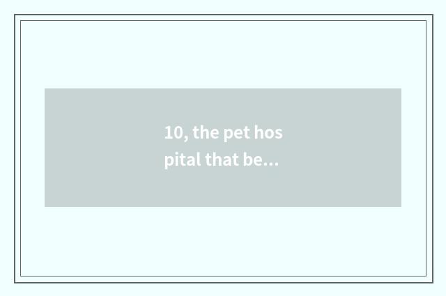 10, the pet hospital that begs Shan head to rely on chart?