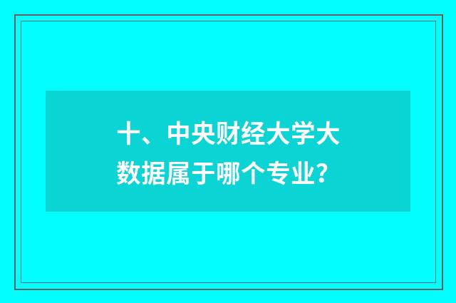 十、中央财经大学大数据属于哪个专业？
