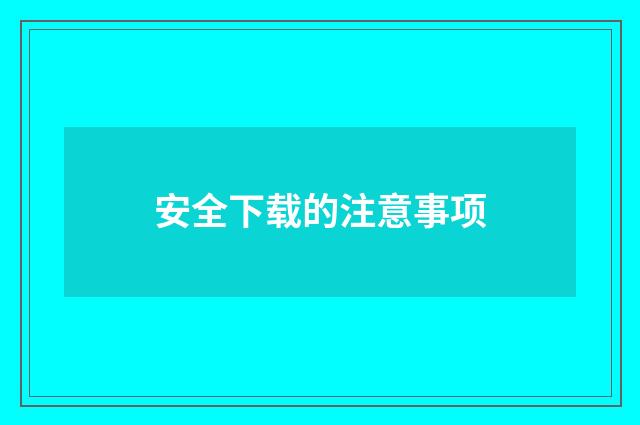 安全下载的注意事项
