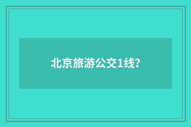 北京旅游公交1线?