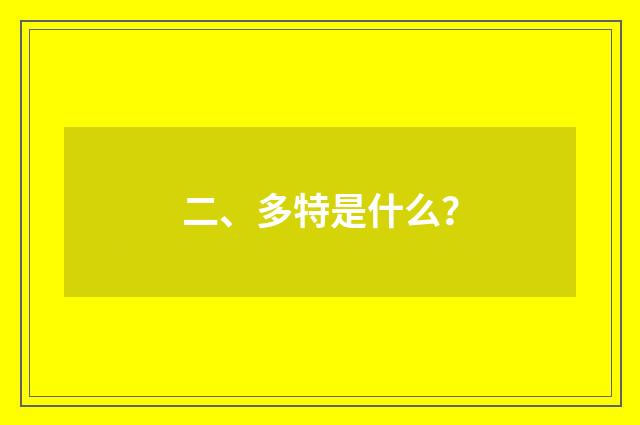 二、多特是什么？