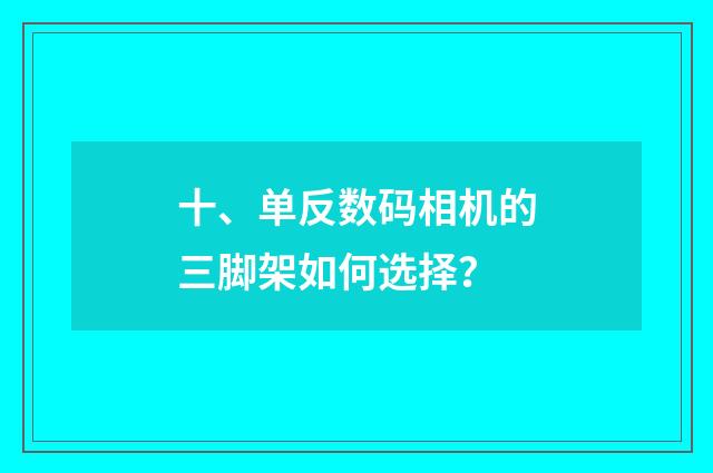 十、单反数码相机的三脚架如何选择？