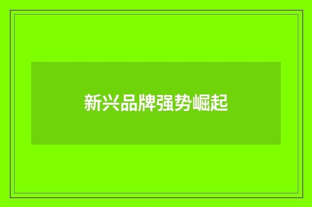 新兴品牌强势崛起