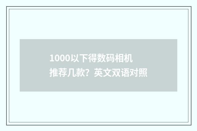 1000以下得数码相机推荐几款？英文双语对照