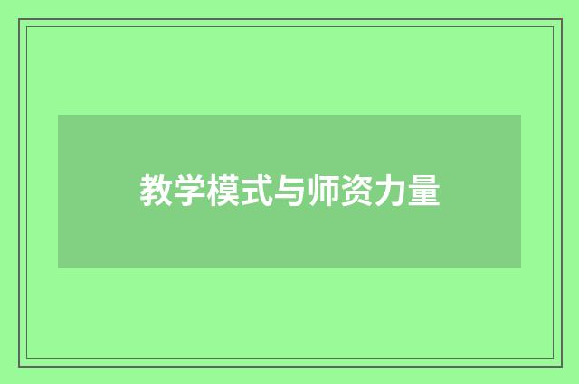 教学模式与师资力量