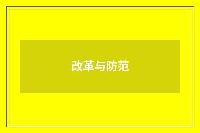 改革与防范