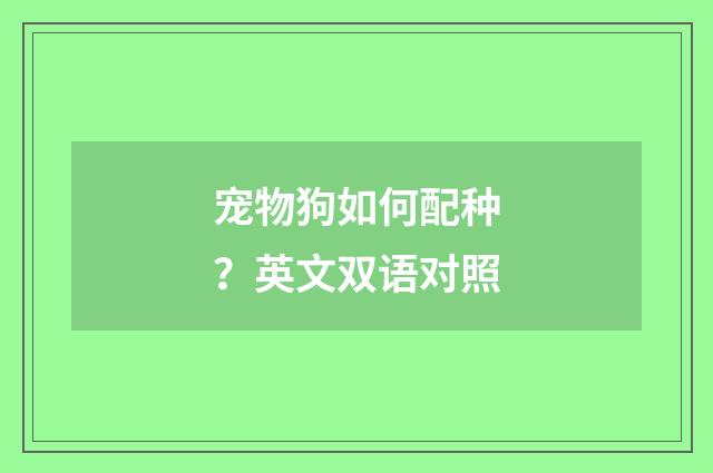 宠物狗如何配种？英文双语对照