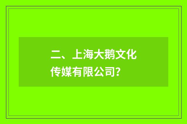 二、上海大鹅文化传媒有限公司？