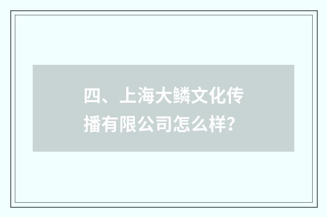 四、上海大鳞文化传播有限公司怎么样？