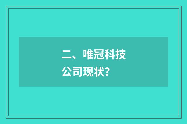 二、唯冠科技公司现状?