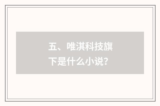五、唯淇科技旗下是什么小说？