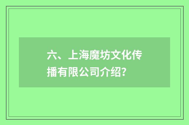 六、上海魔坊文化传播有限公司介绍？