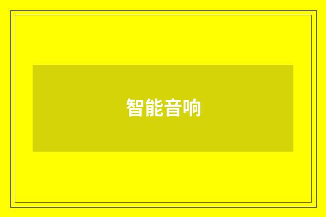 智能音响