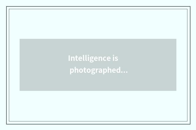 Intelligence is photographed like the head