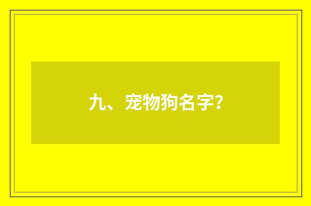 九、宠物狗名字？