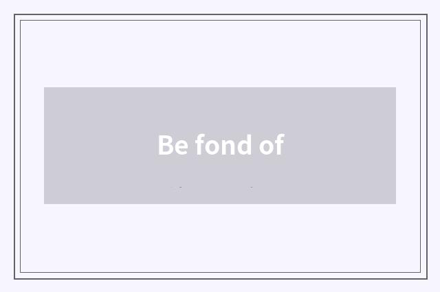 Be fond of