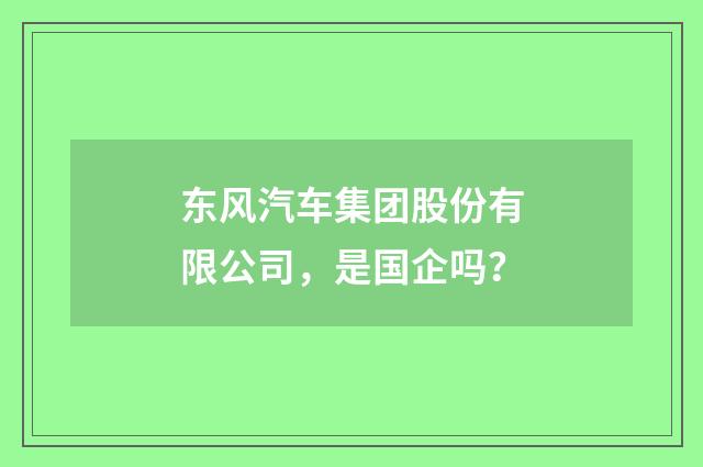 东风汽车集团股份有限公司，是国企吗？