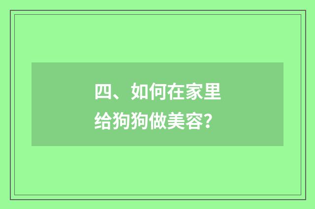 四、如何在家里给狗狗做美容？