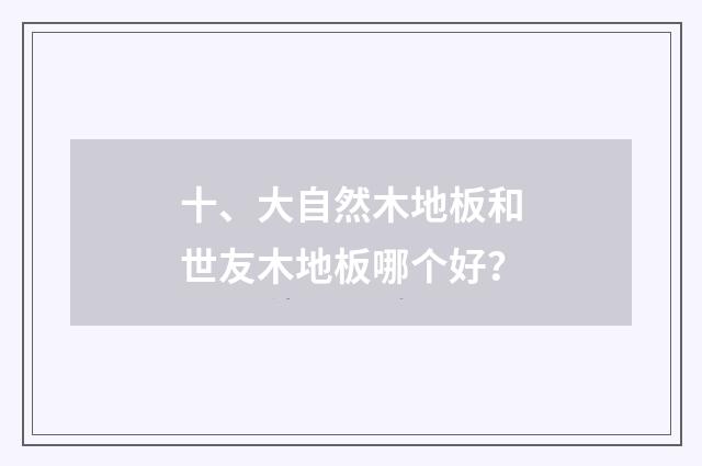 十、大自然木地板和世友木地板哪个好?