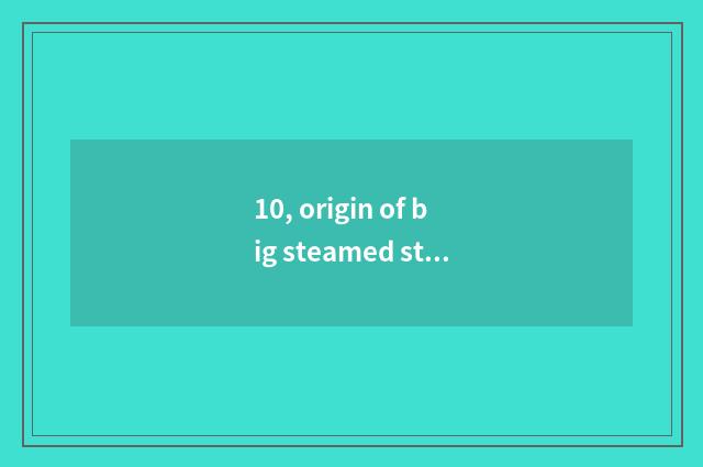 10, origin of big steamed stuffed bun?