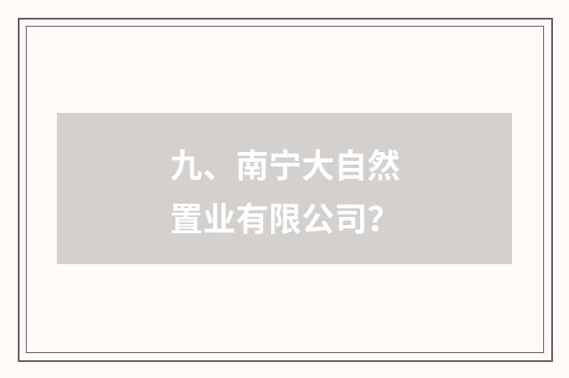 九、南宁大自然置业有限公司？